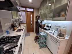 Oasis @ Mulberry (D13), Terrace #597452231